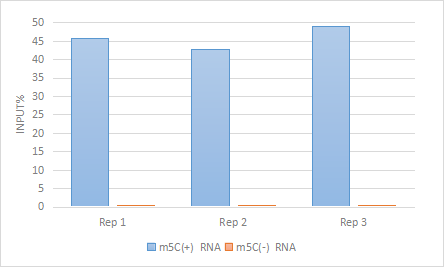 图2. 针对人工合成的含m5C（+）和不含m5C（-）RNA的MeRIP-qPCR检测结果。