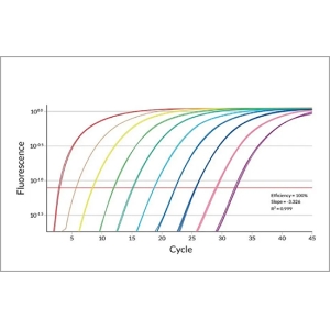 实时荧光PCR | 内标定量与外标定量的差异