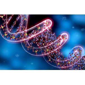 DNA聚合酶的保真度检测方法你了解吗？